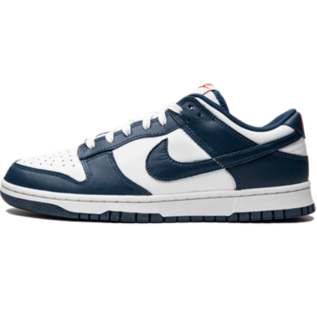 Dunk Low Valerian Blue