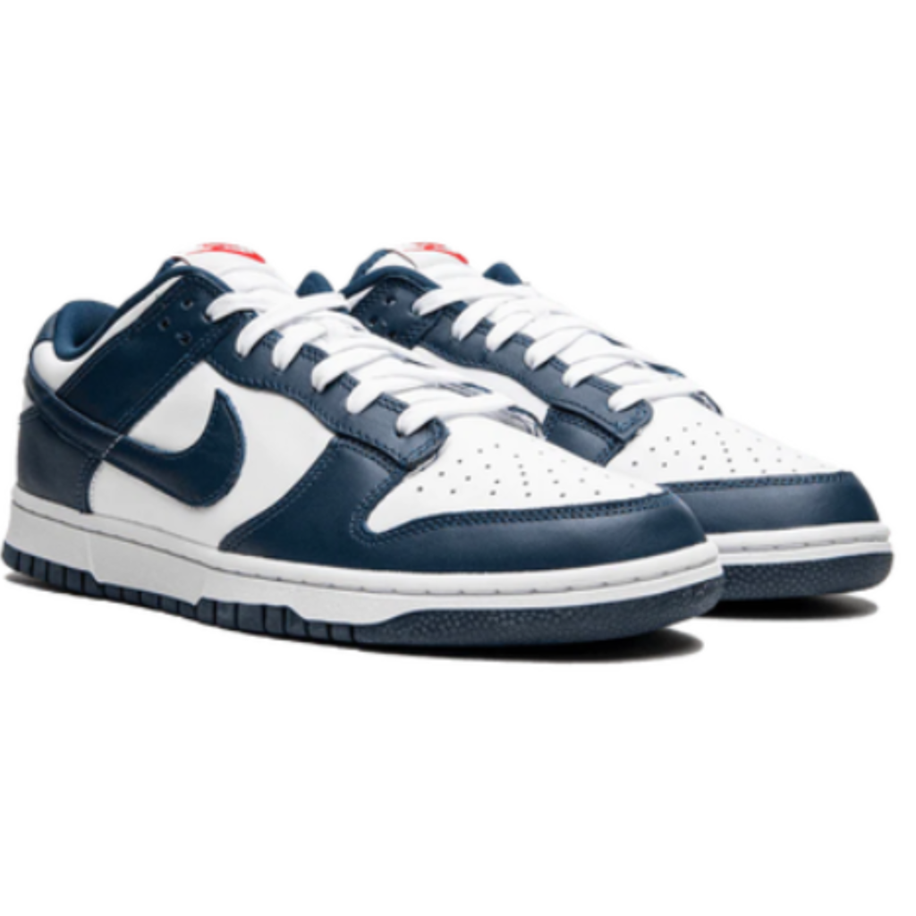 Dunk Low Valerian Blue